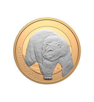 Perspectiva frontal de la moneda de plata dorada oso polar de 1oz de 2025, que muestra al oso caminando con un semblante alegre