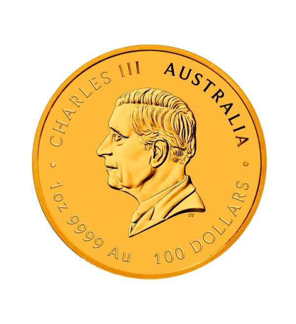 Perspectiva frontal de la cara de la moneda de oro Año del Caballo de 1oz de 2026, que muestra el rostro de Carlos III