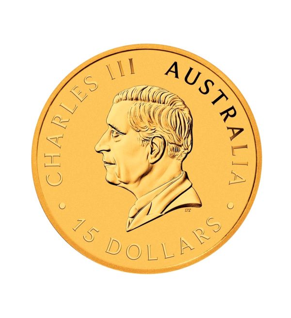 Perspectiva frontal de la cara de la moneda de oro de 1/10oz Canguro de 2026, que muestra a dos animales saltando sobre pequeños charcos