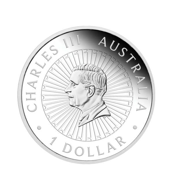 cara-moneda-gran-tierra-del-sur-plata-policromada-1oz-2025 Moneda Gran Tierra del Sur Plata Policromada 1 oz 2025 — Serie Ópalo