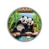 moneda-panda-chino-plata-policromada-30gr-2026 Perspectiva frontal de la cruz de la moneda de plata policromada Panda Chino de 30gr de 2026