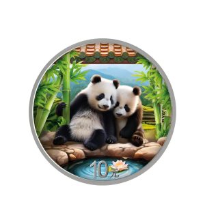 Perspectiva frontal de la cruz de la moneda de plata policromada Panda Chino de 30gr de 2026