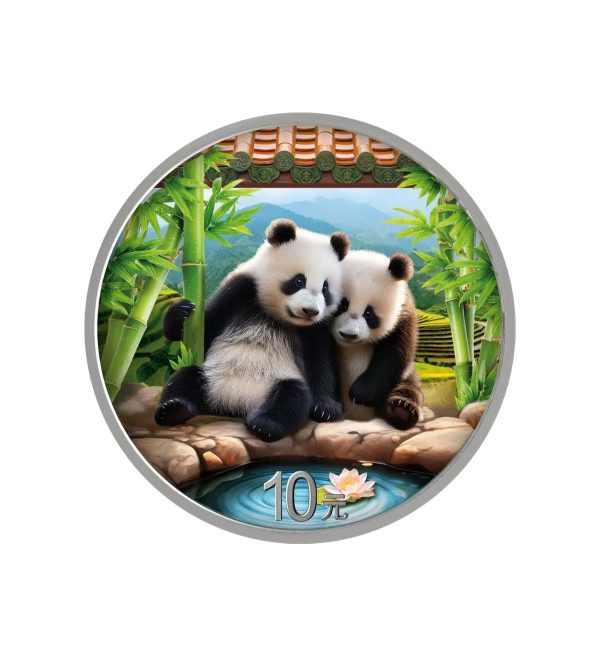 moneda-panda-chino-plata-policromada-30gr-2026 Perspectiva frontal de la cruz de la moneda de plata policromada Panda Chino de 30gr de 2026