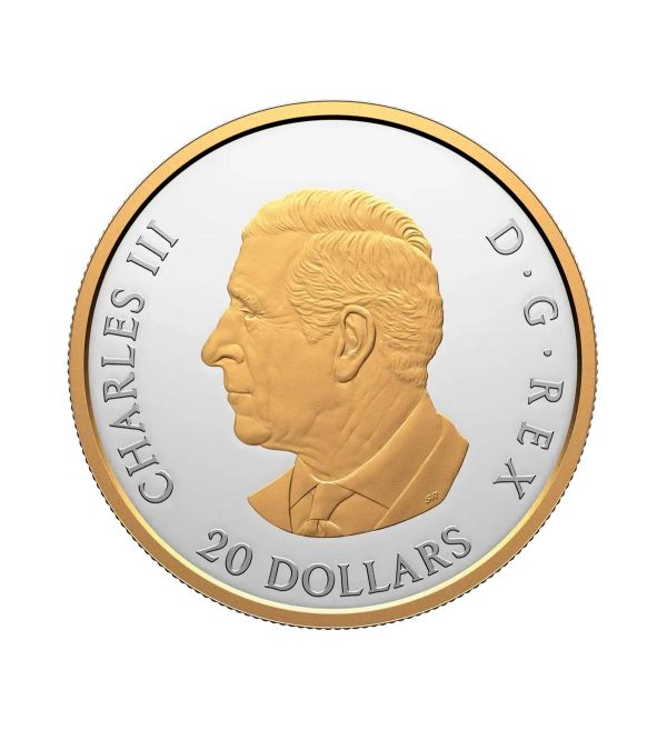Perspectiva frontal de la cara de la moneda de plata dorada Lobo gris de 1oz de 2025, que muestra el rostro de Charles III
