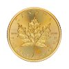 Perspectiva frontal de la cruz de la moneda de oro Maple Leaf de 1oz de 2026, que muestra el símbolo nacional canadiense