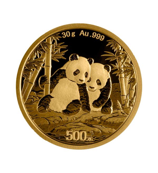 Perspectiva frontal de la moneda de oro Panda Chino de 30gr de 2026, que muestra a dos pandas sentados en un bosque de bambú